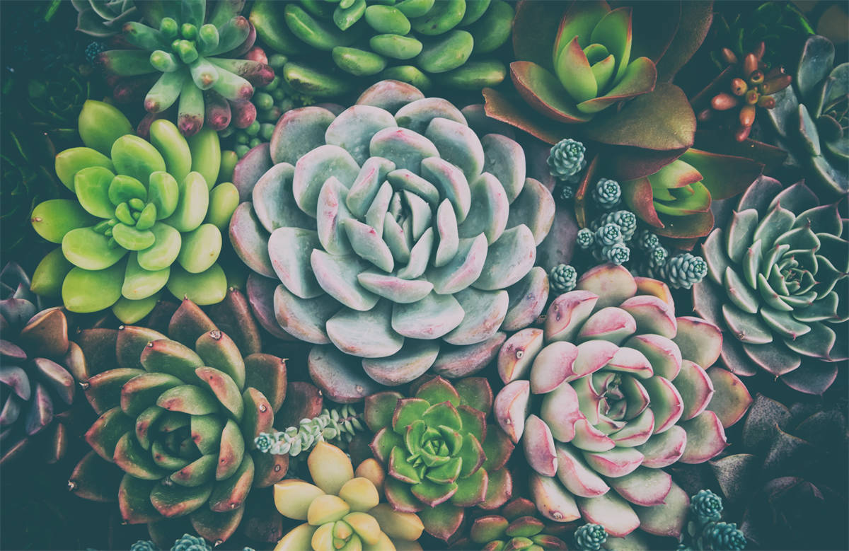 上海熱泵展結(jié)束 芬尼新能源完美收官